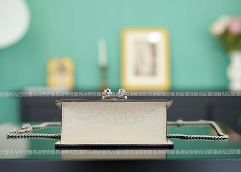 구찌디오니소스백미니 20260319-161116-006루.jpg