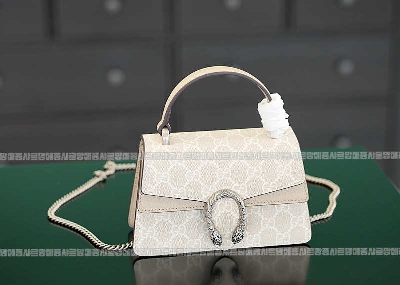 구찌디오니소스백미니 20260319-161117-008루.jpg