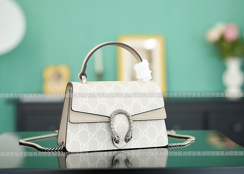 구찌디오니소스백미니 20260319-161117-007루.jpg