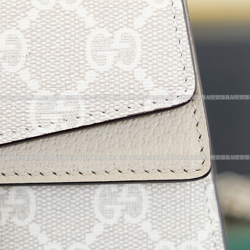 구찌디오니소스백미니 20260319-161117-011루.jpg