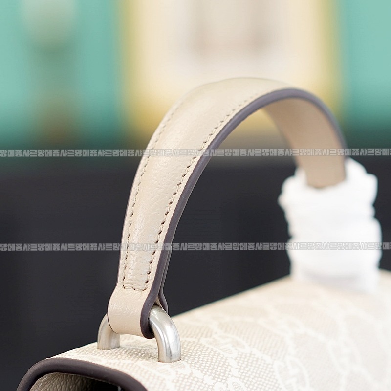 구찌디오니소스백미니 20260319-161118-012루.jpg