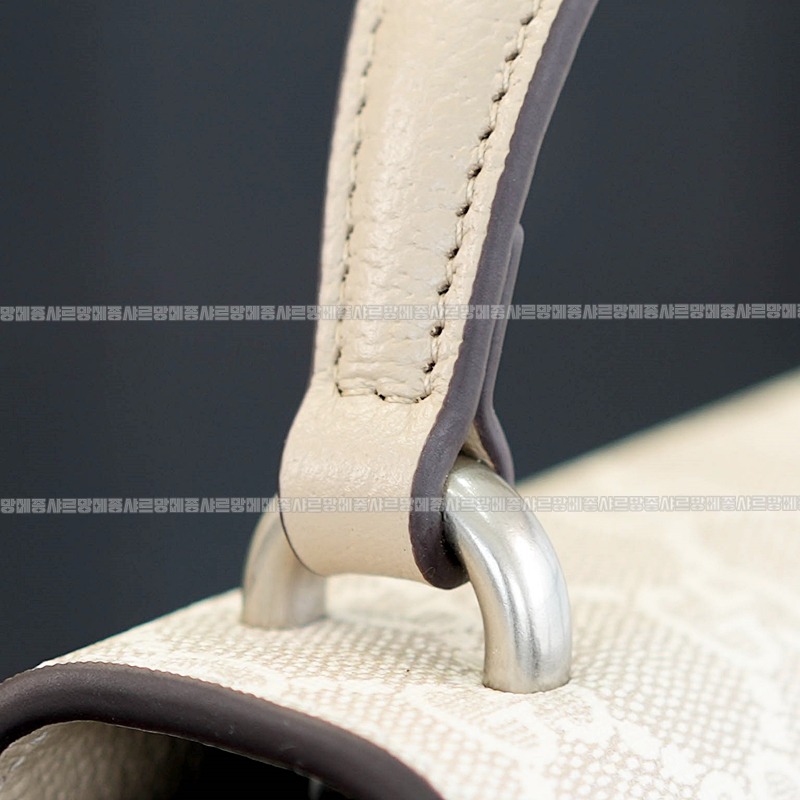 구찌디오니소스백미니 20260319-161118-013루.jpg