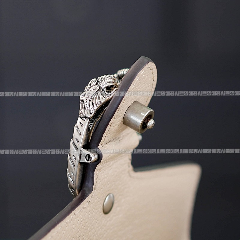 구찌디오니소스백미니 20260319-161119-017루.jpg