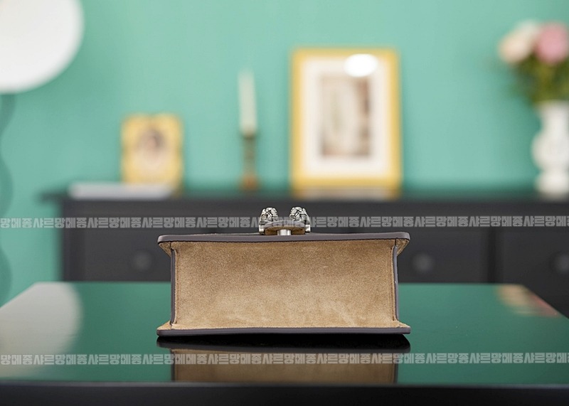 구찌디오니소스백미니 20260319-161419-006루.jpg