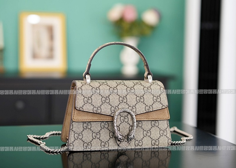 구찌디오니소스백미니 20260319-161419-007루.jpg