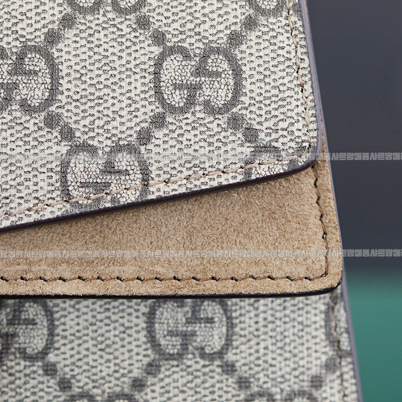 구찌디오니소스백미니 20260319-161420-011루.jpg