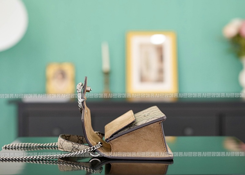 구찌디오니소스백미니 20260319-161419-009루.jpg