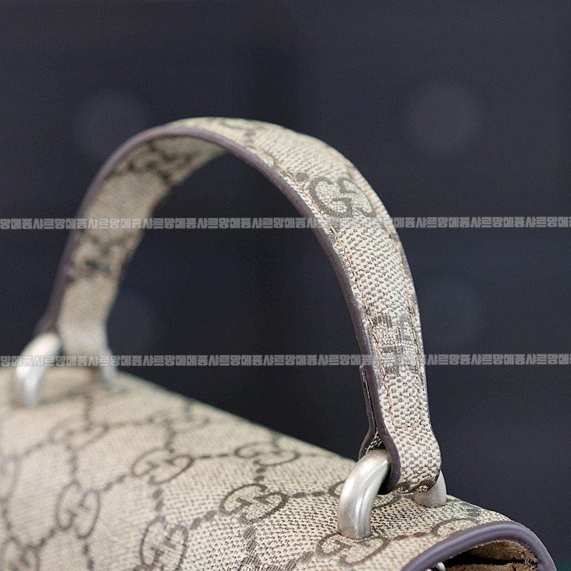 구찌디오니소스백미니 20260319-161420-012루.jpg