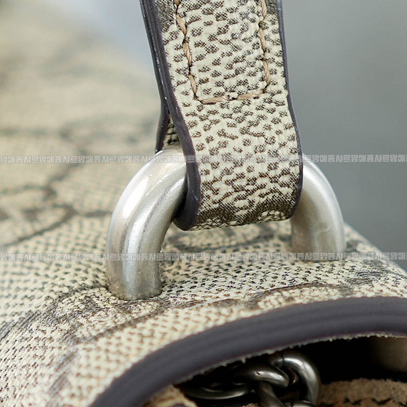 구찌디오니소스백미니 20260319-161420-013루.jpg