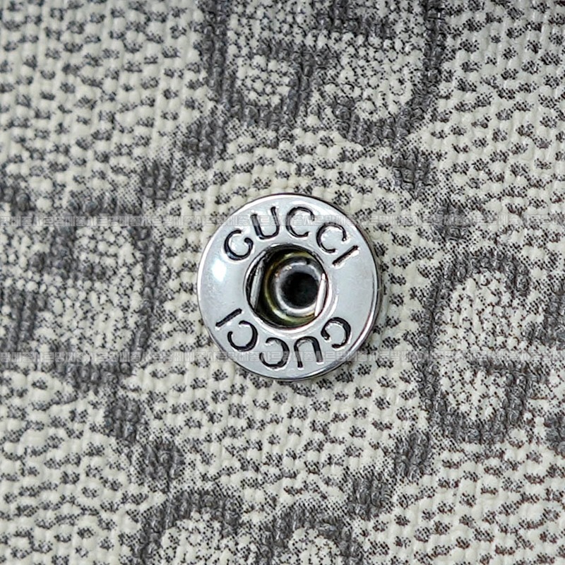 구찌디오니소스백미니 20260319-161421-016루.jpg