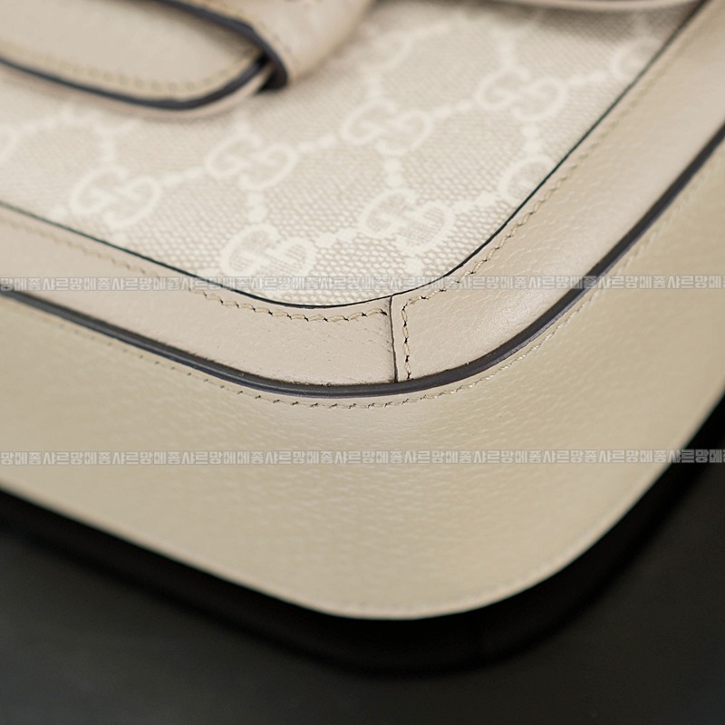 구찌홀스빗1995미니백 20260320-101143-013루.jpg