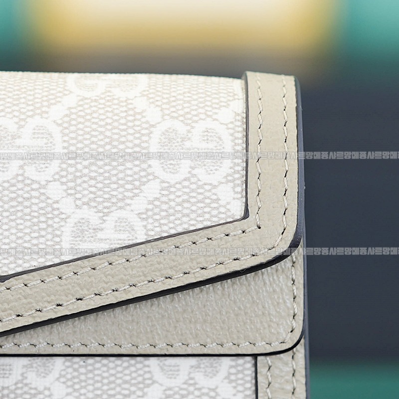 구찌디오니스체인지갑 20260320-124417-011루.jpg