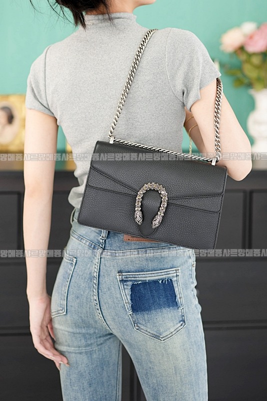 구찌디오니소스숄더백 20260320-125533-026루.jpg