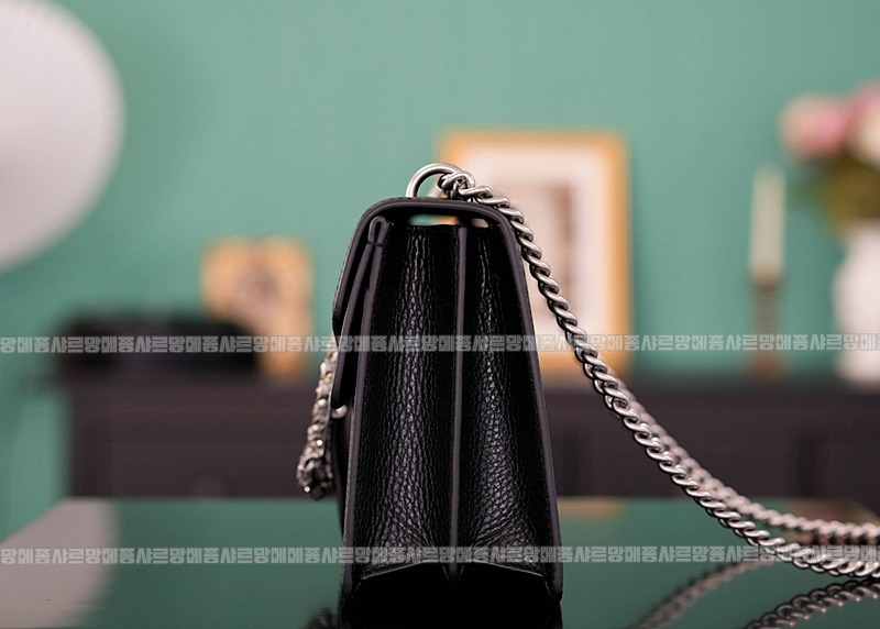 구찌디오니소스숄더백 20260320-125529-002루.jpg