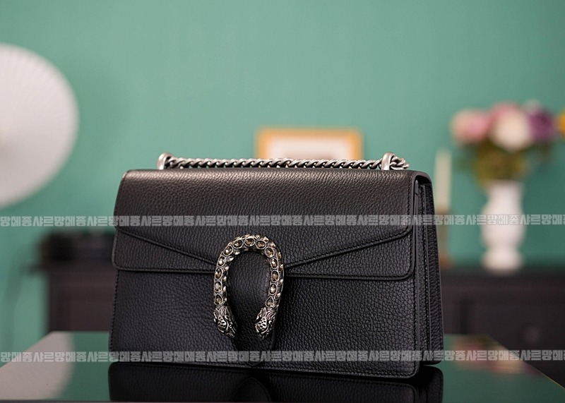 구찌디오니소스숄더백 20260320-125529-004루.jpg