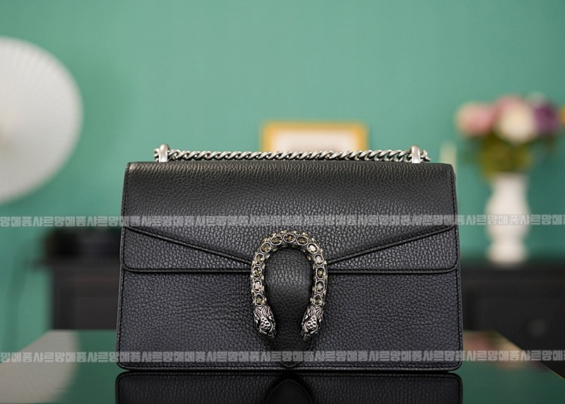 구찌디오니소스숄더백 20260320-125529-001루.jpg