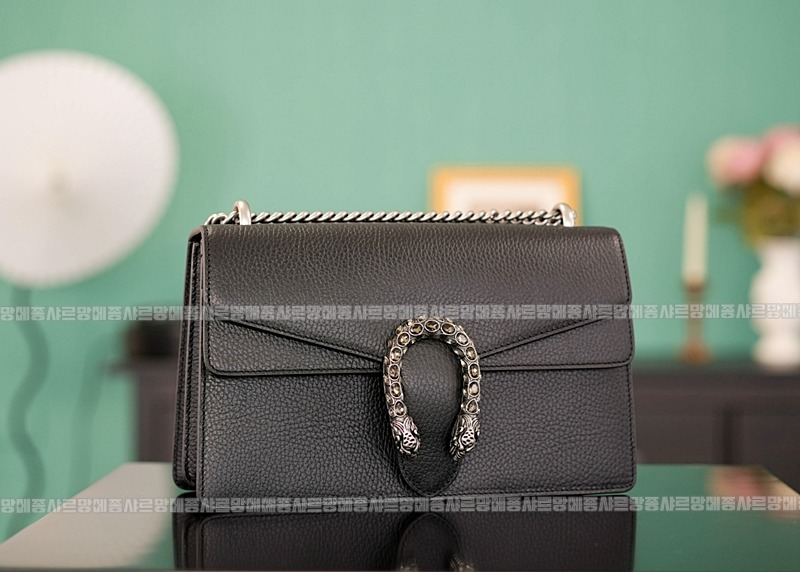 구찌디오니소스숄더백 20260320-125529-006루.jpg