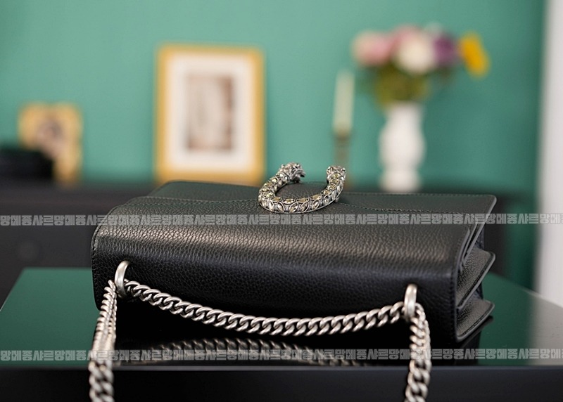 구찌디오니소스숄더백 20260320-125529-007루.jpg