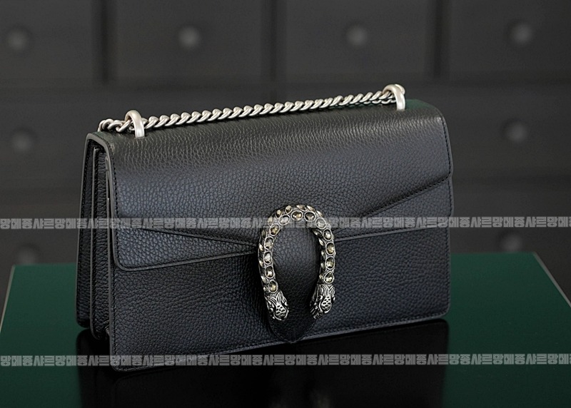 구찌디오니소스숄더백 20260320-125530-009루.jpg