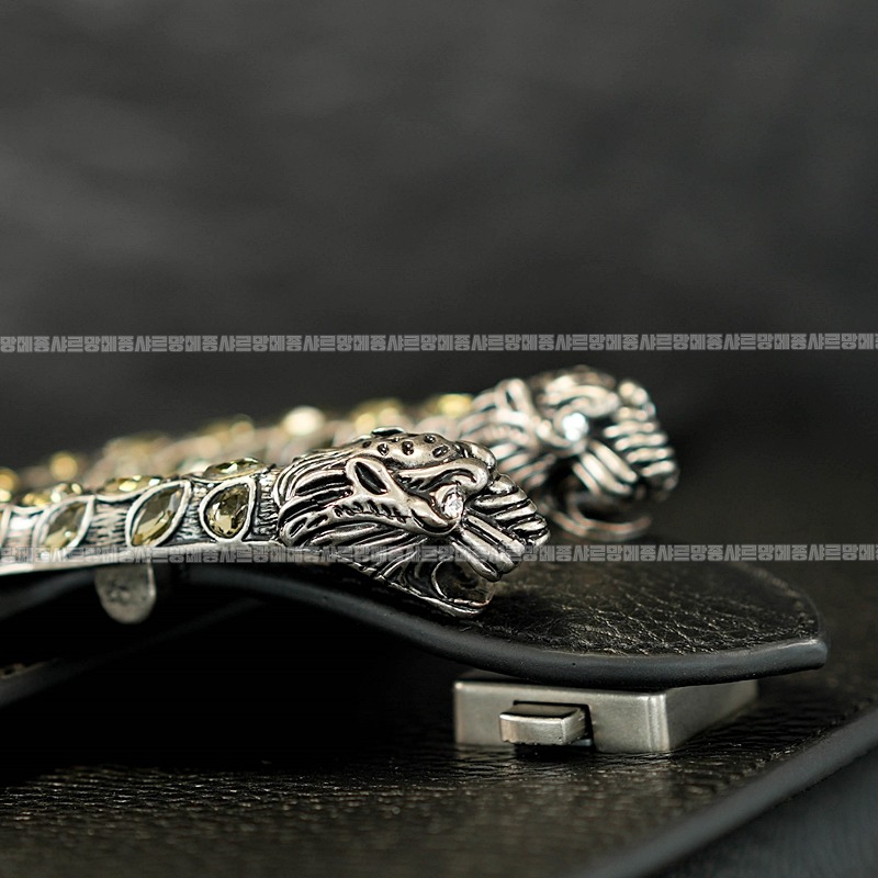 구찌디오니소스숄더백 20260320-125530-011루.jpg