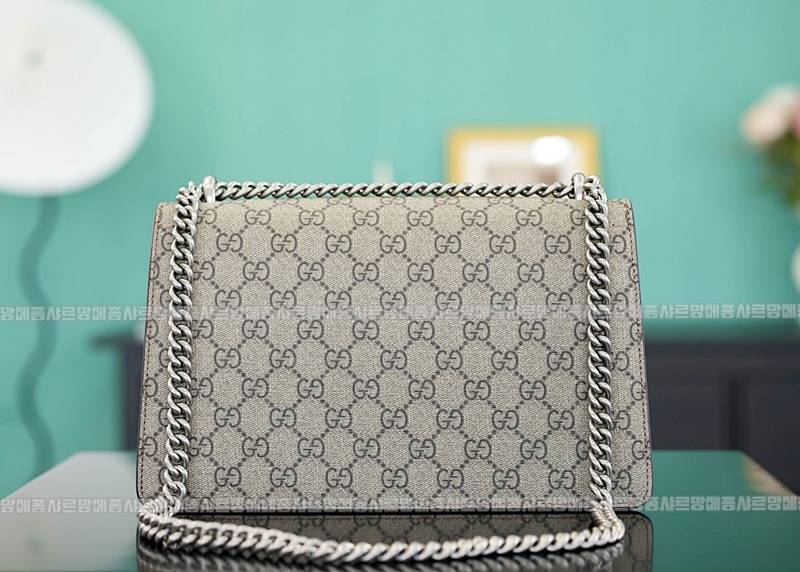 구찌디오니소스숄더백 20260320-125923-004루.jpg