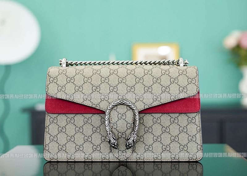 구찌디오니소스숄더백 20260320-125923-001루.jpg