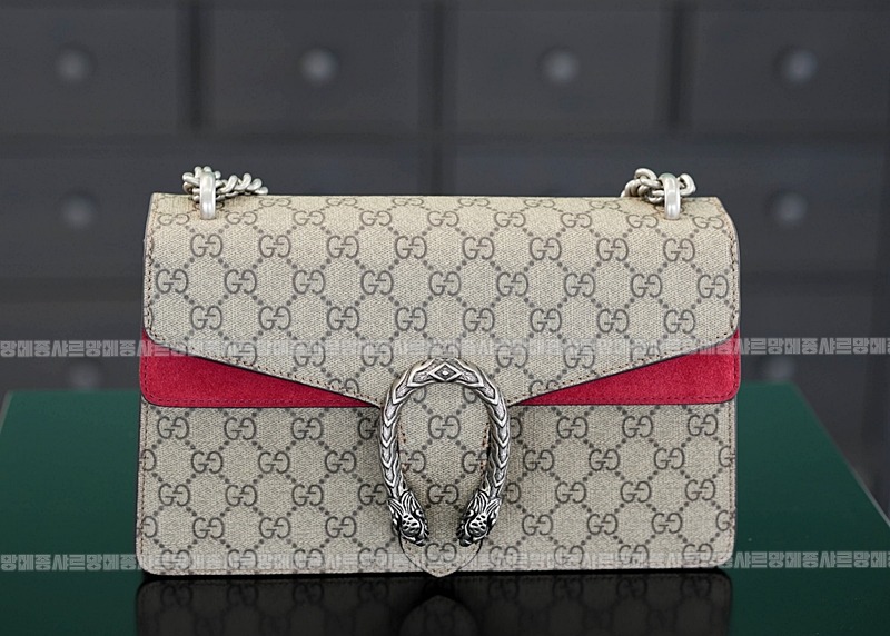 구찌디오니소스숄더백 20260320-125924-009루.jpg