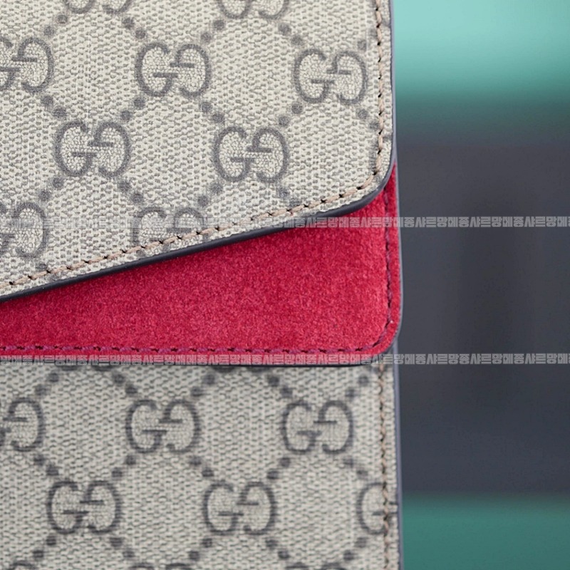 구찌디오니소스숄더백 20260320-125924-011루.jpg