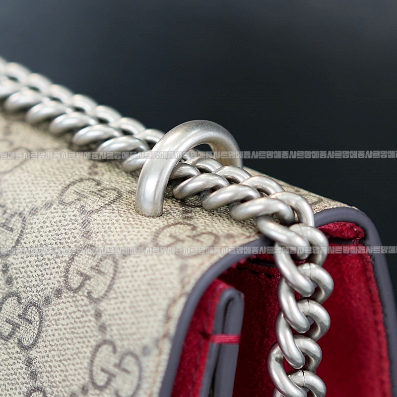 구찌디오니소스숄더백 20260320-125924-012루.jpg