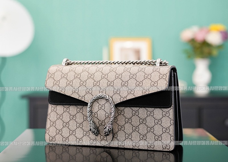 구찌디오니소스숄더백 20260320-130523-002루.jpg