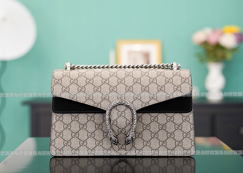 구찌디오니소스숄더백 20260320-130523-001루.jpg