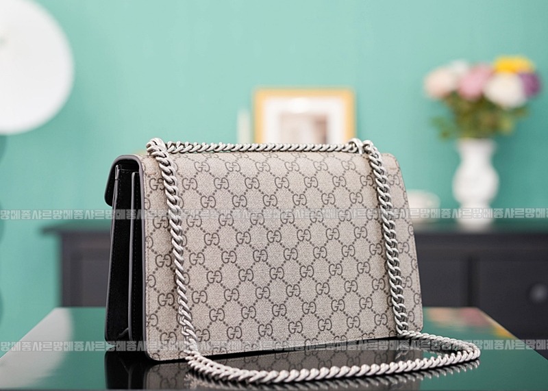 구찌디오니소스숄더백 20260320-130524-004루.jpg