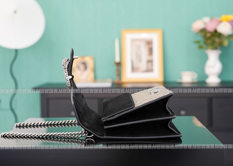 구찌디오니소스숄더백 20260320-130524-009루.jpg