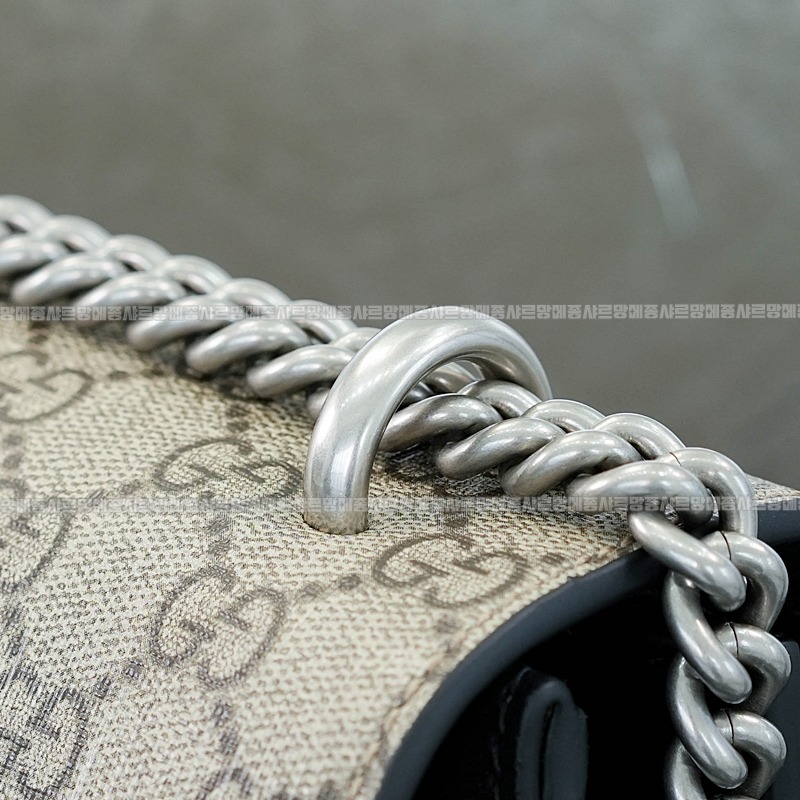 구찌디오니소스숄더백 20260320-130524-011루.jpg