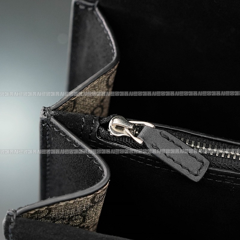 구찌디오니소스숄더백 20260320-130526-017루.jpg