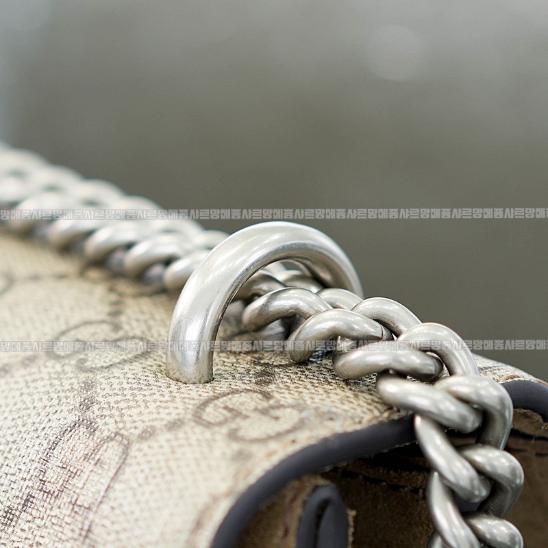 구찌디오니소스숄더백 20260320-130852-011루.jpg