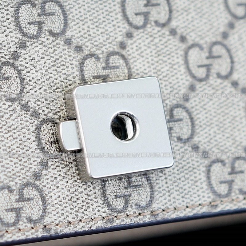 구찌디오니소스숄더백 20260320-130853-016루.jpg