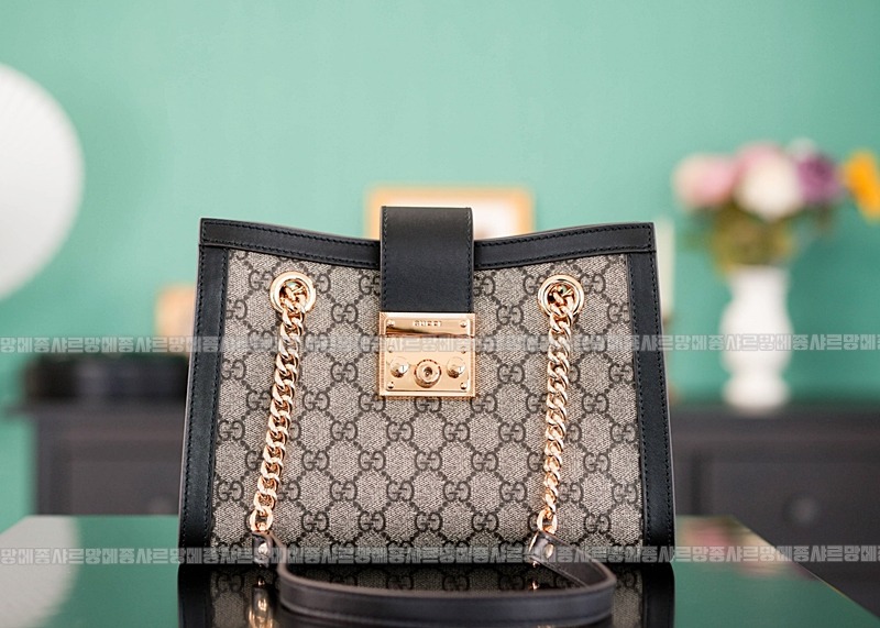 구찌패드락스몰GG캔버스숄더백 20260320-135739-001루.jpg