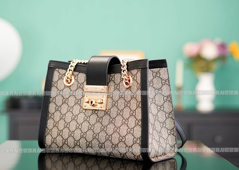 구찌패드락스몰GG캔버스숄더백 20260320-135739-002루.jpg