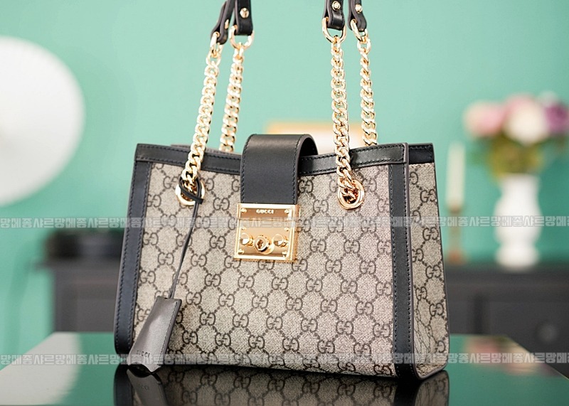 구찌패드락스몰GG캔버스숄더백 20260320-135740-007루.jpg