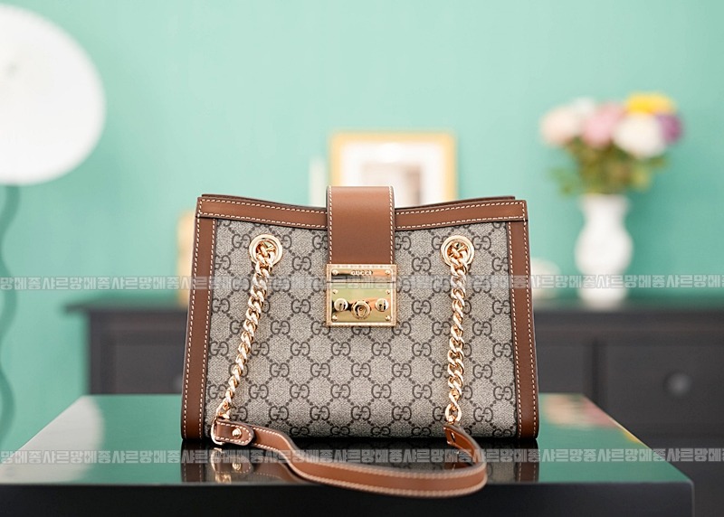 구찌패드락스몰GG캔버스숄더백 20260320-140915-001루.jpg