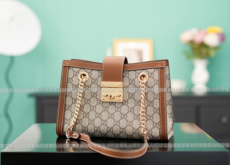 구찌패드락스몰GG캔버스숄더백 20260320-140915-002루.jpg