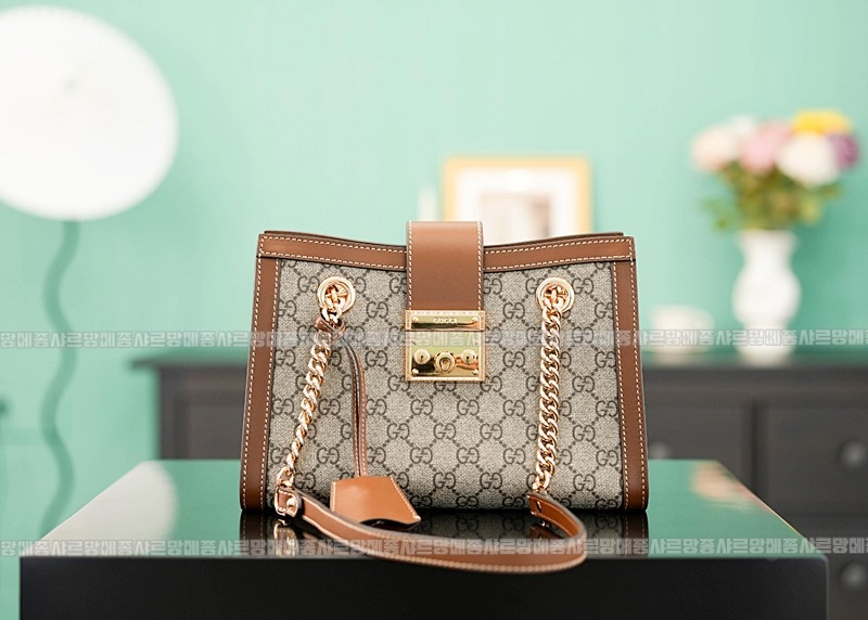 구찌패드락스몰GG캔버스숄더백 20260320-140915-008루.jpg