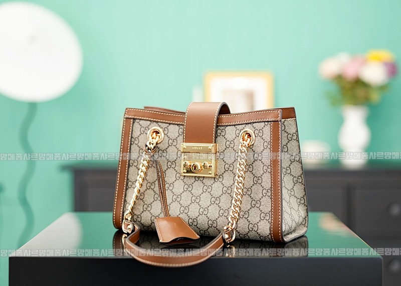 구찌패드락스몰GG캔버스숄더백 20260320-140916-009루.jpg