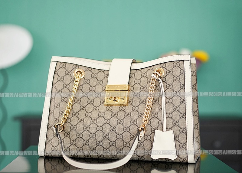 구찌패드락미디움GG캔버스숄더백 20260320-141703-002루.jpg
