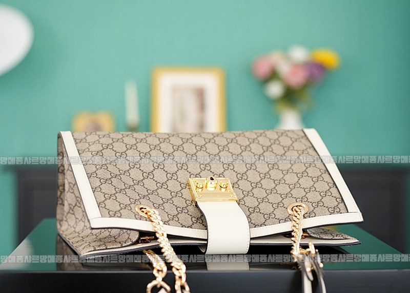 구찌패드락미디움GG캔버스숄더백 20260320-141704-005루.jpg