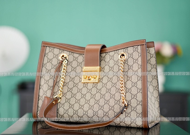 구찌패드락미디움GG캔버스숄더백 20260320-142412-002루.jpg