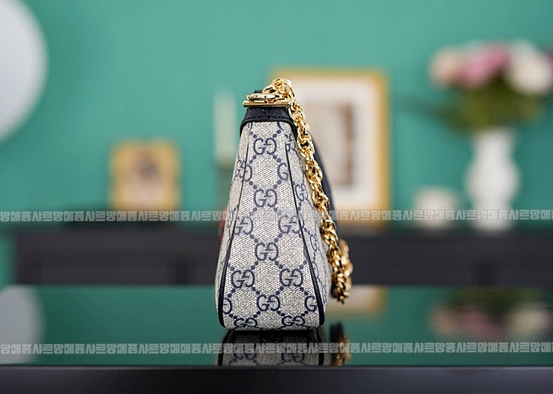 구찌오피디아스ㅡ트로베리참스몰체인숄더백 20260320-143025-004루.jpg