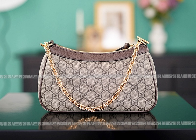 구찌오피디아스ㅡ트로베리참스몰체인숄더백 20260320-143515-003루.jpg