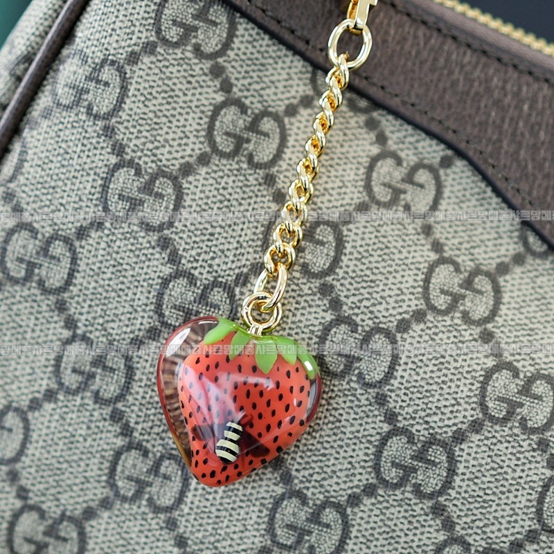 구찌오피디아스ㅡ트로베리참스몰체인숄더백 20260320-143516-012루.jpg